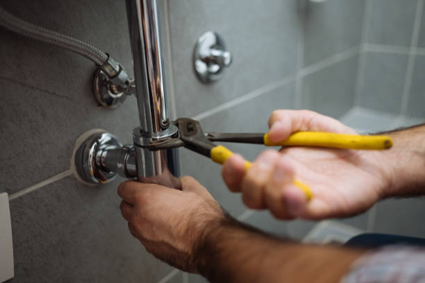 Best Local Plumber Services  in Forest City, PA